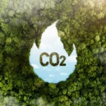 Carbon Footprint