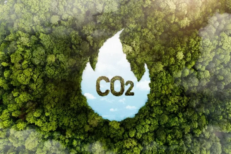 Carbon Footprint